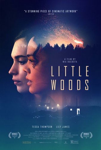 Постер к фильму Лесок / Little Woods (2018) WEB-DL 1080p от селезень | HDRezka Studio