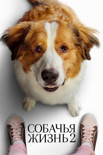 Постер к фильму Собачья жизнь 2 / A Dog's Journey (2019) BDRip 1080p от селезень | Лицензия